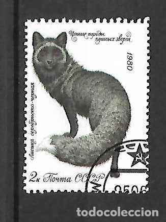 Sellos: Fauna: zorro negro, de Rusia . sello a&ntilde;o 1980