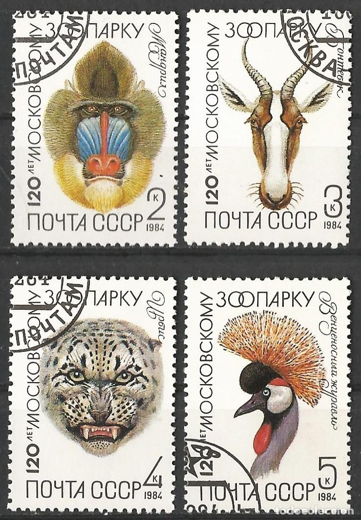 Sellos: Rusia 1984 - Mi 5356 a 5359 - YT 5075 a 5078 - Fauna del Zool&oacute;gico de Mosc&uacute;