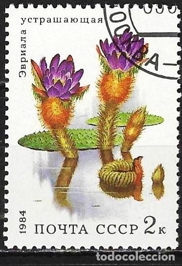 Sellos: Rusia 1984 - Mi 5382 - YT 5096 - Flores : Nen&uacute;far
