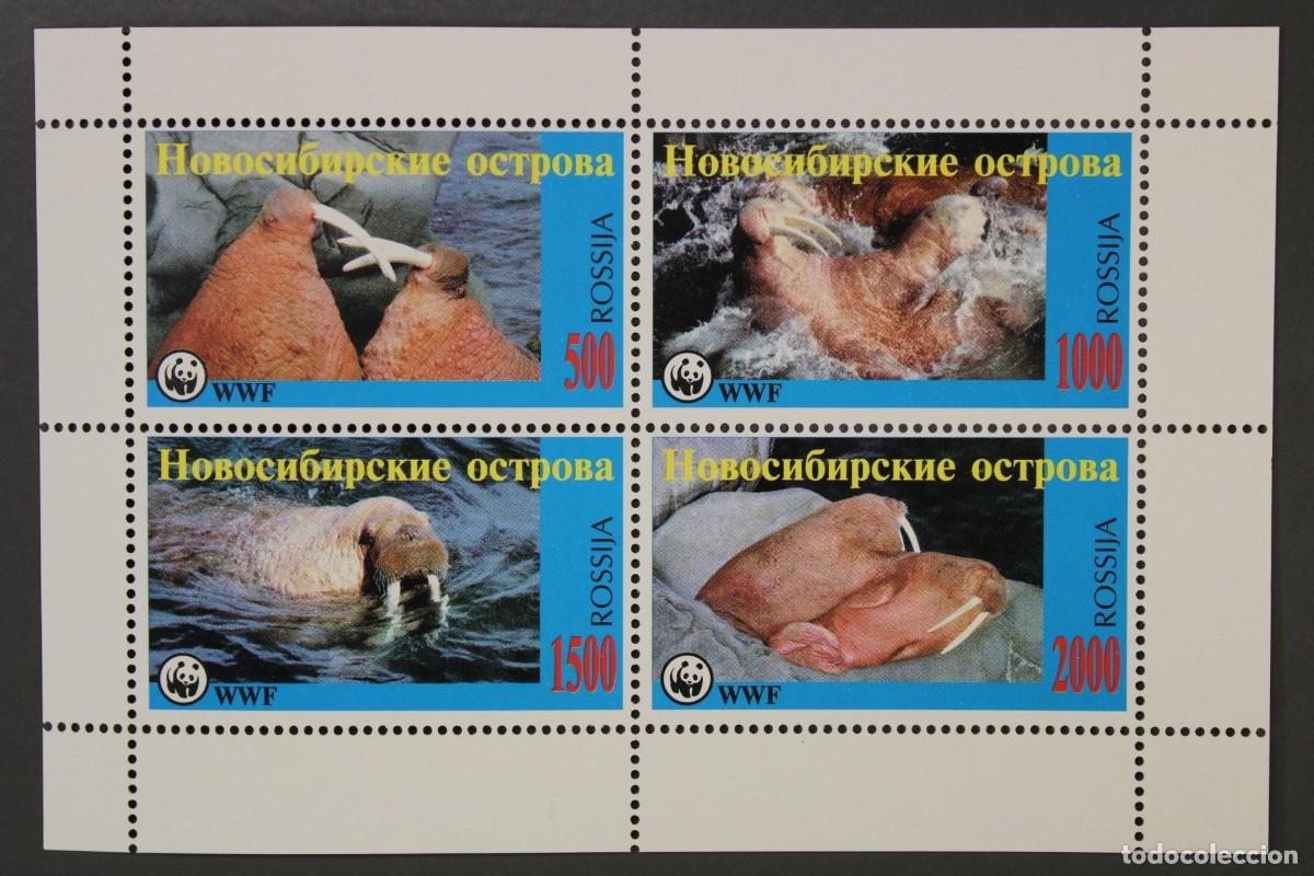 Sellos: RUSIA 1997 SHEET MNH WWF FAUNA MARINA MORSAS Y VIDA SILVESTRE ISLAS DE NUEVA SIBERIA MARINE LIFE