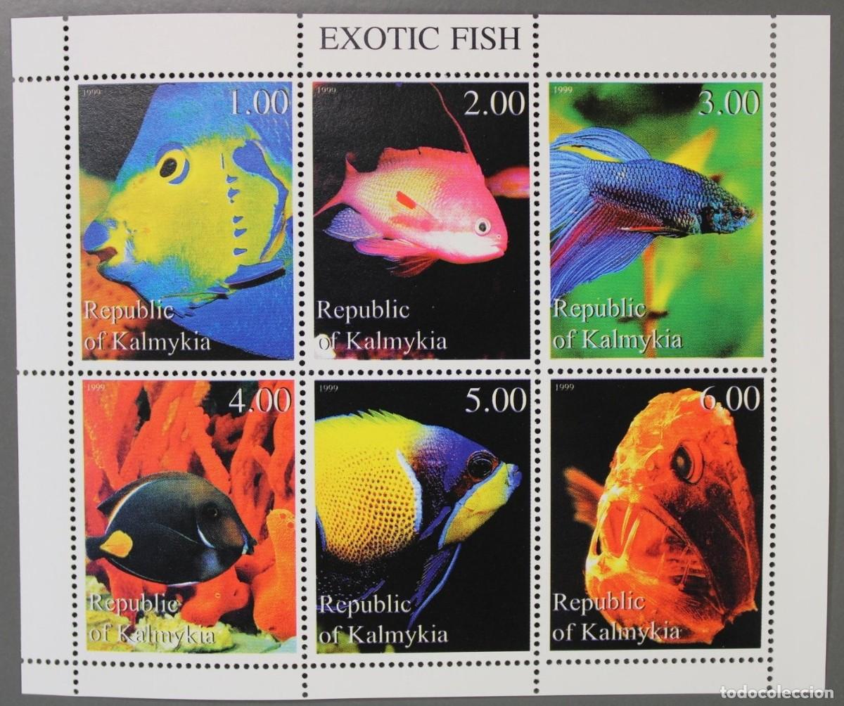 Sellos: KALMYKIA 1999 SHEET MNH FAUNA MARINA FISHES PECES POISSONS PESCI FISCHEN PEIXES MARINE LIFE