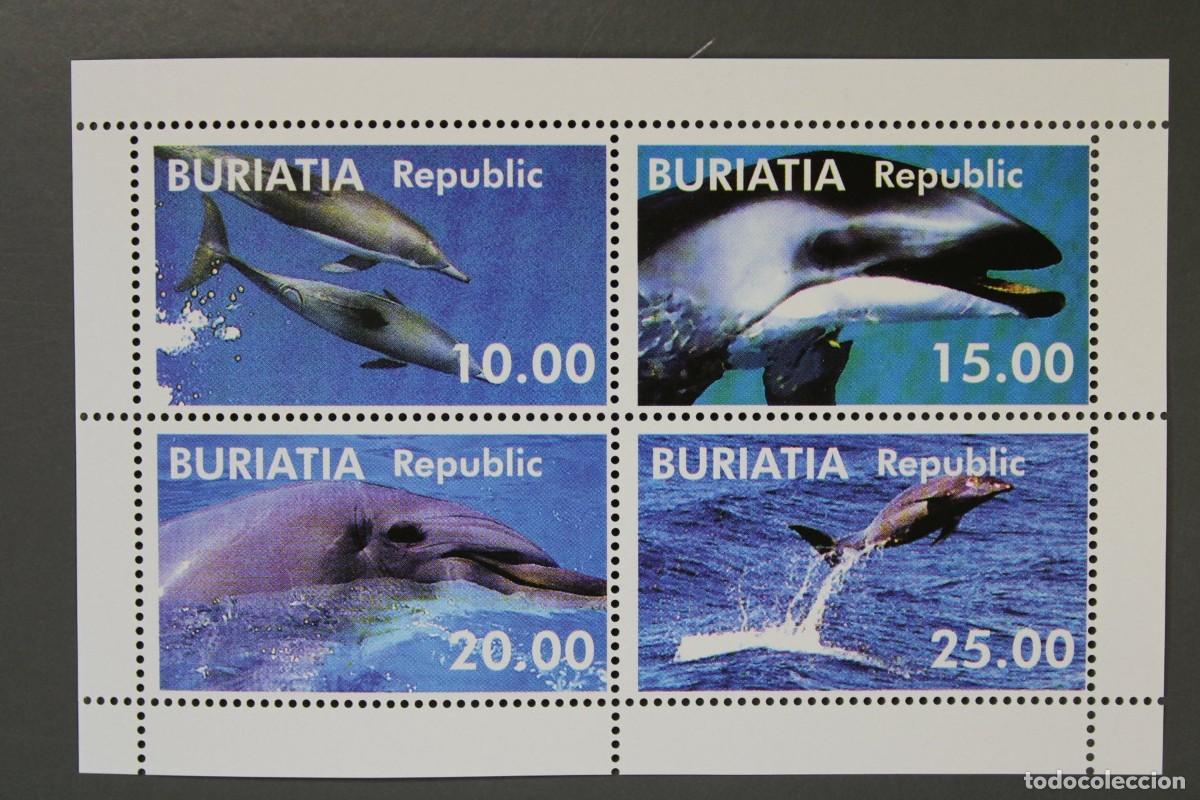 Sellos: BURIATIA 1998 SHEET MNH FAUNA MAMIFEROS DOLPHINS DAUPHINS DELFINES DELFINEN MARINE LIFE