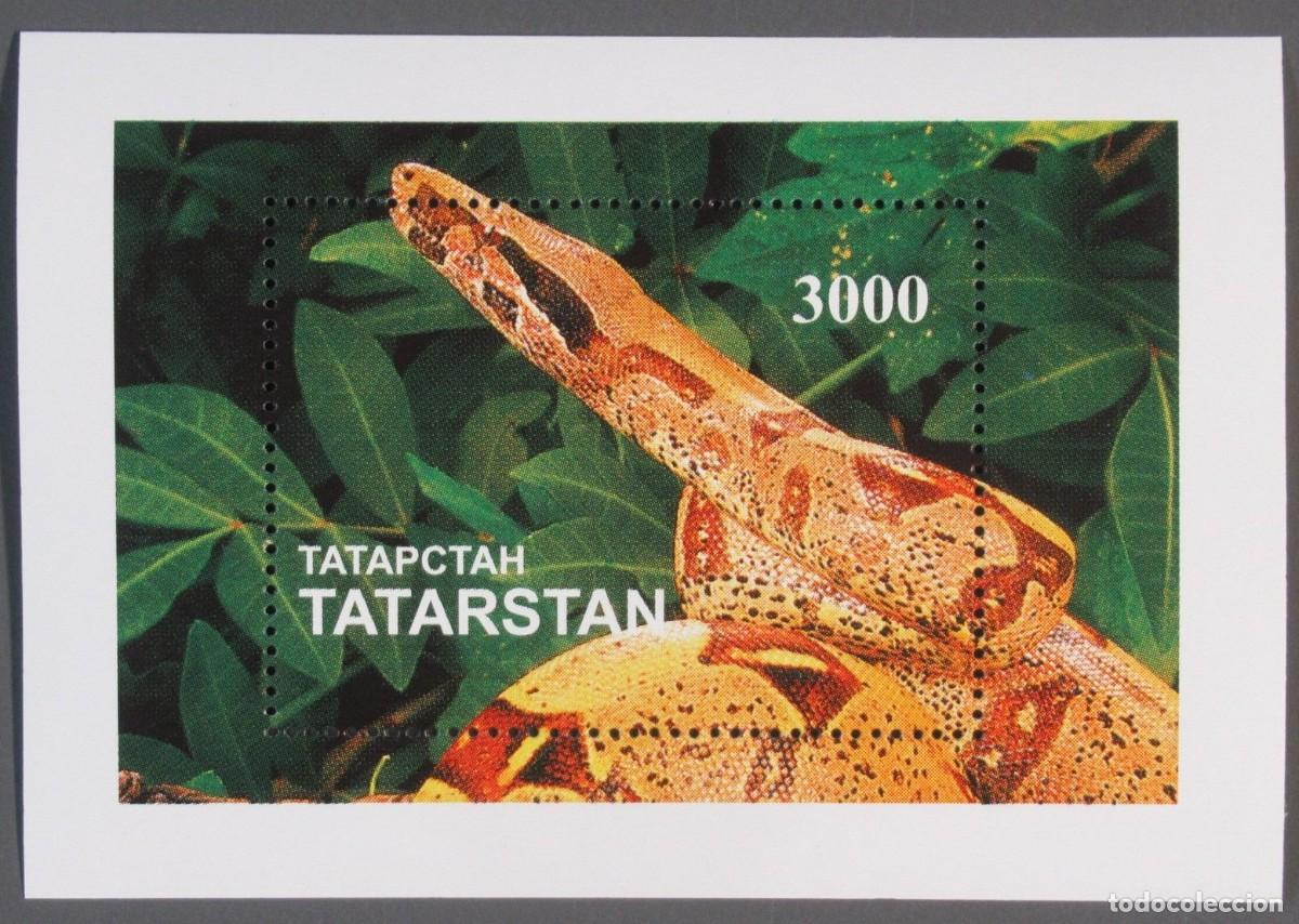 Sellos: TATARSTAN 1997 SHEET MNH FAUNA SNAKES SERPIENTES SERPENTES SCHLANGEN SERPENTS REPTILES REPTILIEN