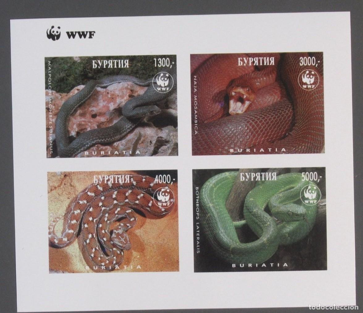 Sellos: BURIATIA 1997 SHEET MNH IMPERF WWF FAUNA SNAKES SERPIENTES SERPENTES SCHLANGEN SERPENTS REPTILES