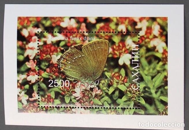 Sellos: SAKHA YAKUTIA 1997 SHEET MNH BUTTERFLIES PAPILLONS SCHMETTERLINGEN MARIPOSAS FARFALLE BORBOLETAS
