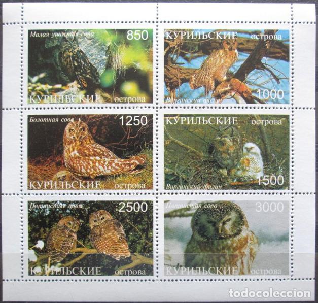 Sellos: KURIL ISLANDS 1998 SHEET MNH FAUNA OWLS HIBOUX CHOUETTES BUHOS LECHUZAS EULEN BIRDS AVES OISEAUX