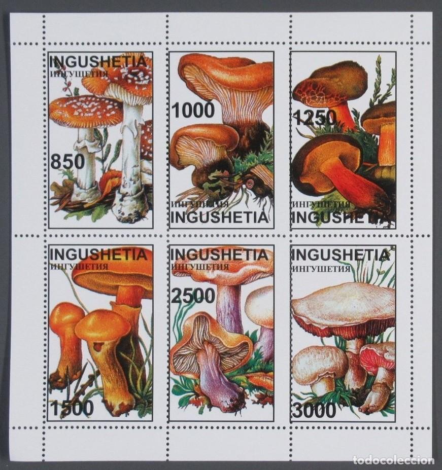 Sellos: INGUSHETIA 1998 SHEET MNH MUSHROOMS CHAMPIGNONS SETAS PILZE FUNGHI COGUMELOS