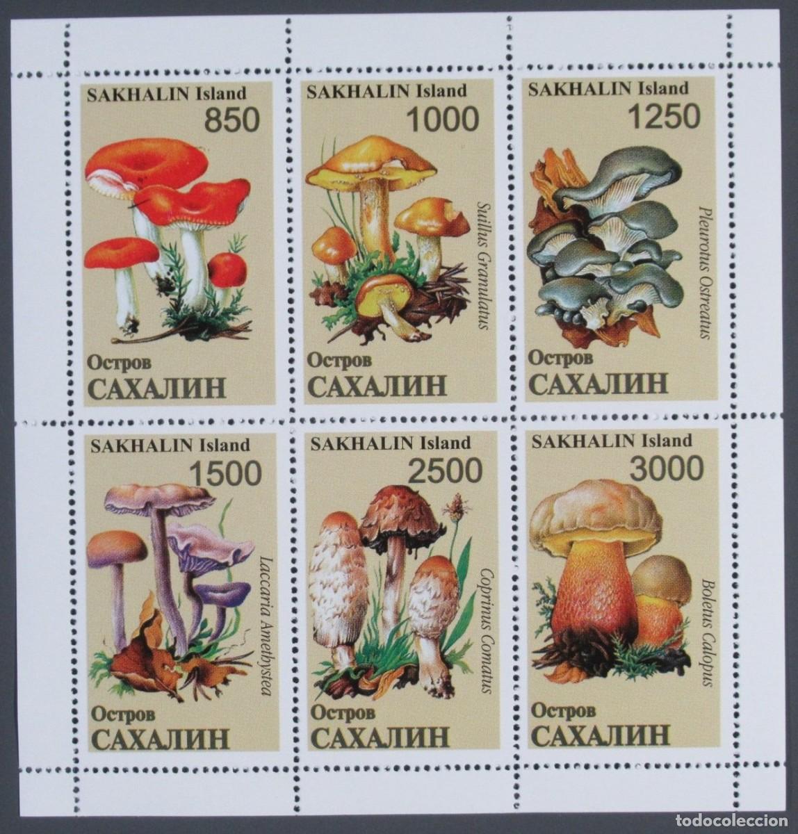 Sellos: SAKHALIN 1997 SHEET MNH MUSHROOMS CHAMPIGNONS SETAS PILZE FUNGHI COGUMELOS