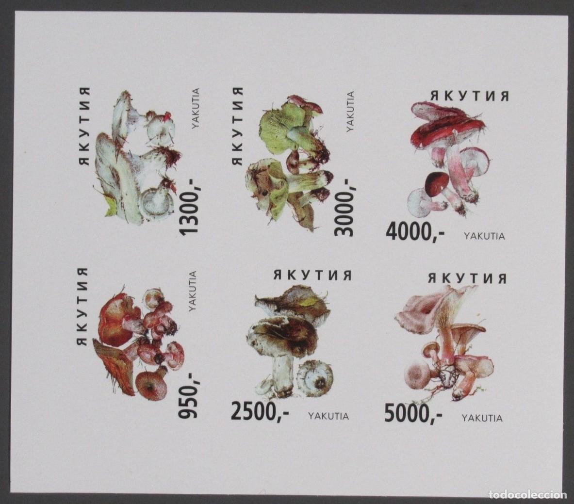 Sellos: SAKHA YAKUTIA 1997 SHEET MNH IMPERF MUSHROOMS CHAMPIGNONS SETAS PILZE FUNGHI COGUMELOS