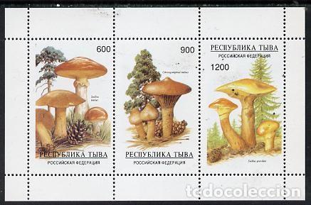 Sellos: TUVA TOUVA 1997 SHEET MNH MUSHROOMS CHAMPIGNONS SETAS PILZE FUNGHI COGUMELOS