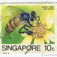 Sellos: SINGAPUR 1985. SERIE INSECTOS - HONEY BEE (APIS CERANA JAVANA). MICHEL SG 464I. Lote 50626380