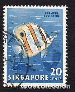 SINGAPUR (1962). FAUNA Y FLORA: PEZ MARIPOSA. YVERT Nº 58. USADO. (Sellos - Extranjero - Asia - Singapur)