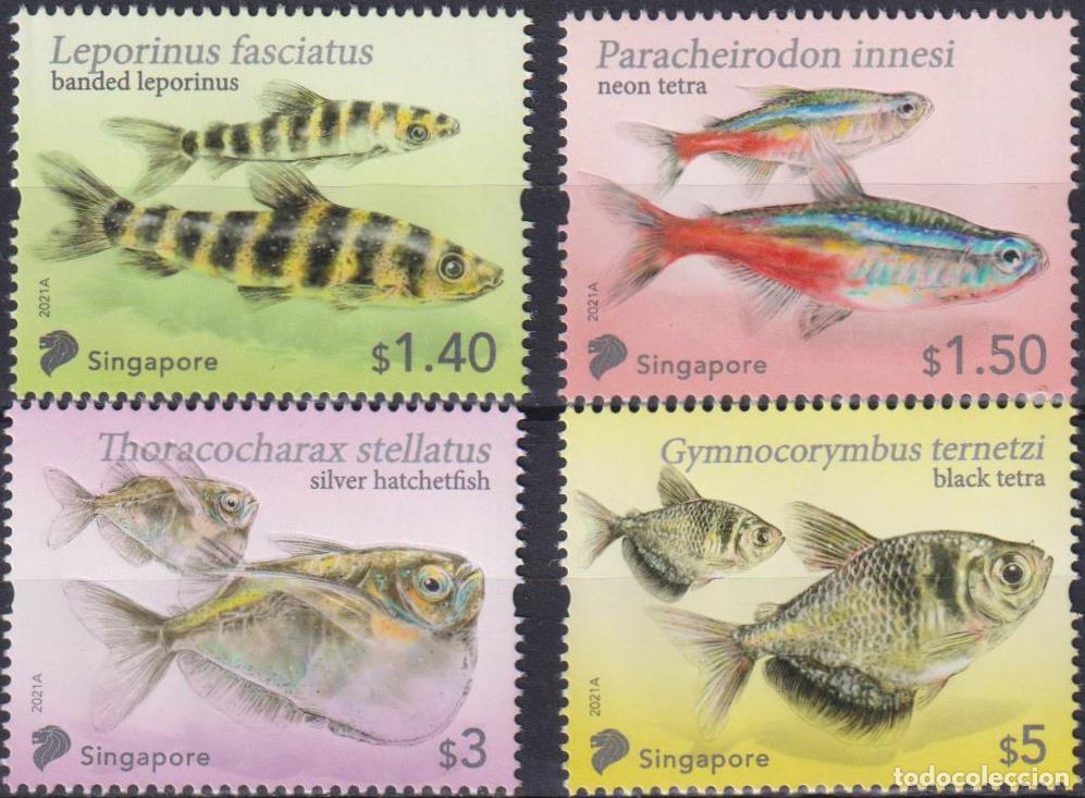 Sellos: Singapur 2021 Pez MNH - Foto 1