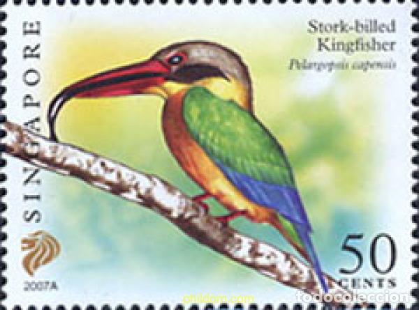 Sellos: 580151 MNH SINGAPUR 2007 PAJAROS - Foto 1