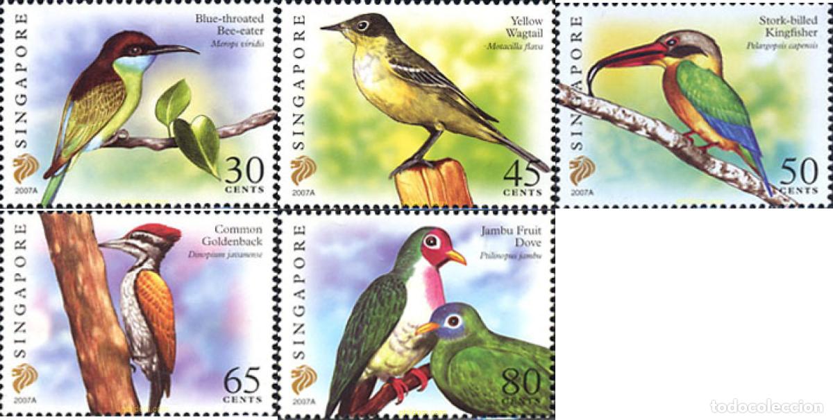 Sellos: 593662 MNH SINGAPUR 2007 PAJAROS - Foto 1