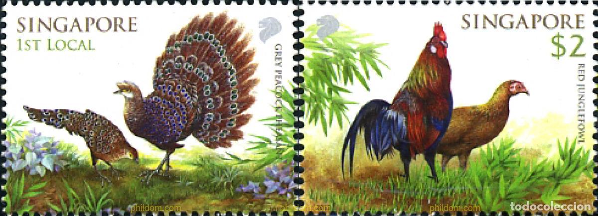 Sellos: 310136 MNH SINGAPUR 2013 AVES - Foto 1