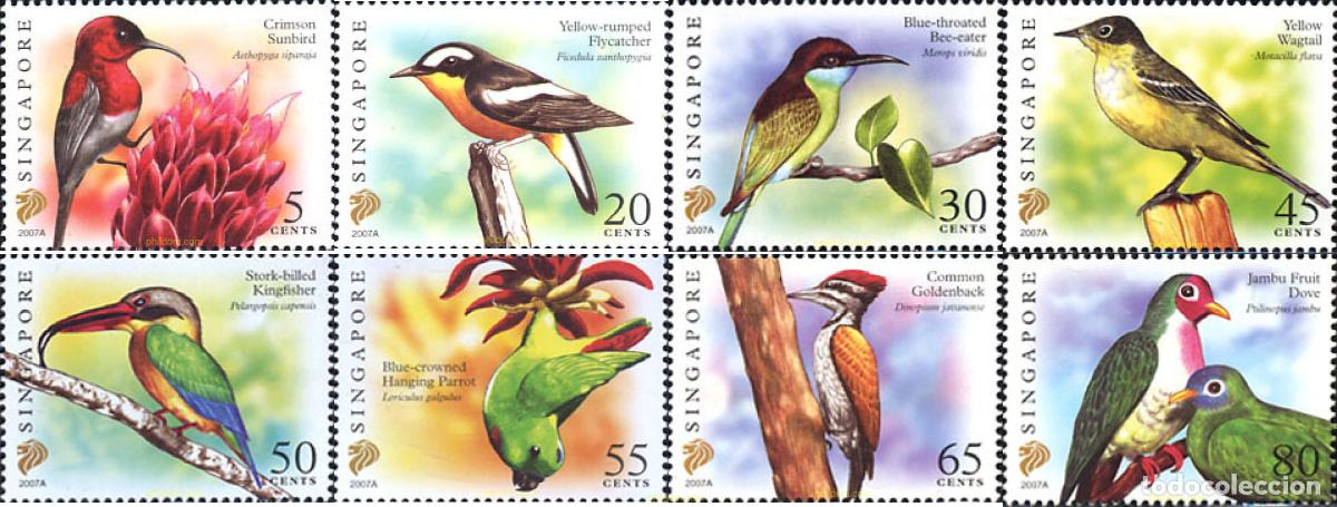 Sellos: 220179 MNH SINGAPUR 2007 PAJAROS - Foto 1