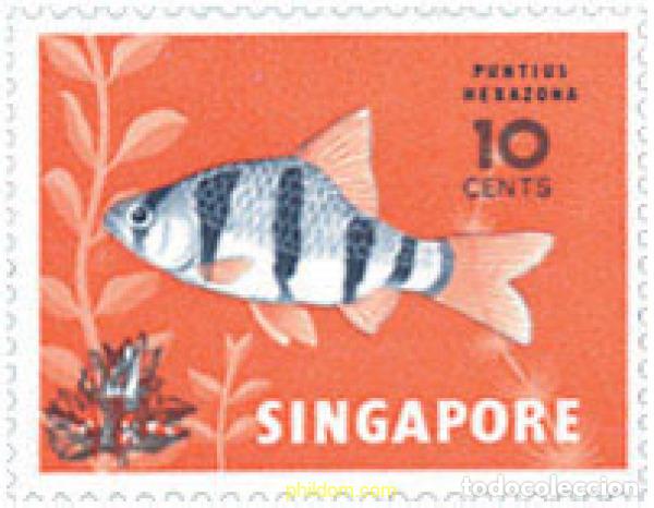 Sellos: 28604 MNH SINGAPUR 1981 PEZ