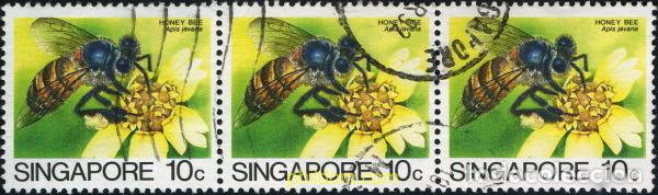 Sellos: 213828 USED SINGAPUR 1985 INSECTOS