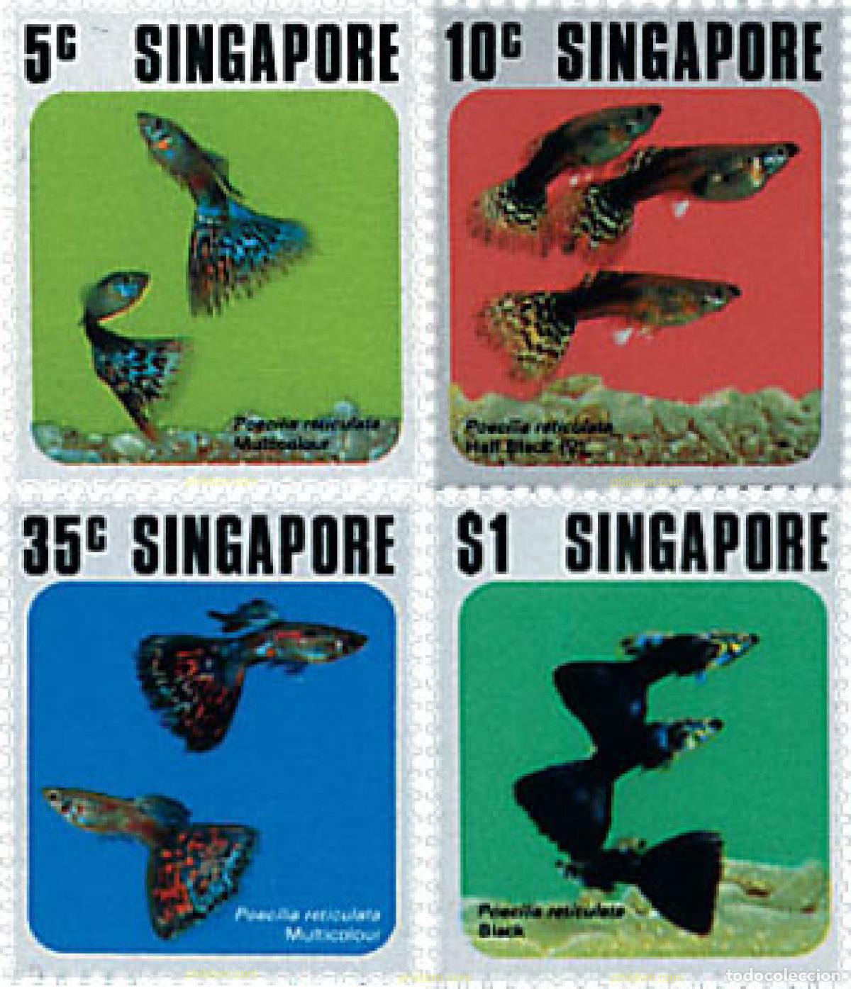 Selos: 63244 MNH SINGAPUR 1974 PECES TROPICALES