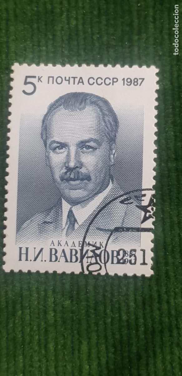 Sellos: URSS -MOUTA CCCP-EL A&Ntilde;O LO PONE EN EL SELLO