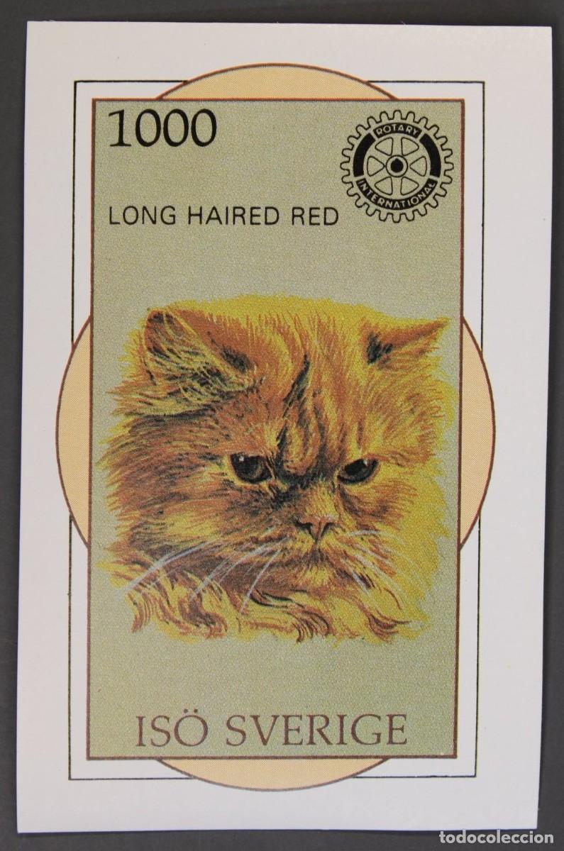 Sellos: ISO SUECIA 1984 SHEET MNH ROTARY EL ATIGRADO DE PELO LARGO GATOS LONG HAIRED RED CATS CHATS KATZEN