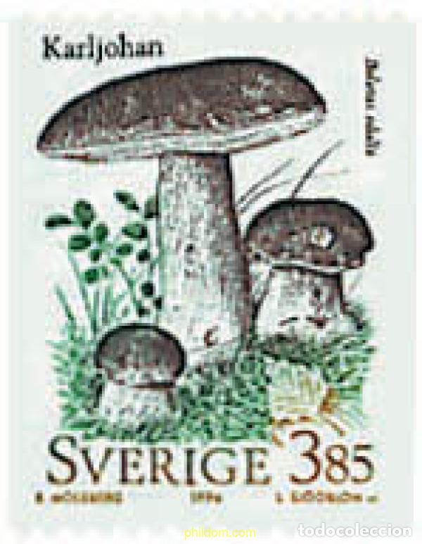 Sellos: 240165 MNH SUECIA 1996 SETAS