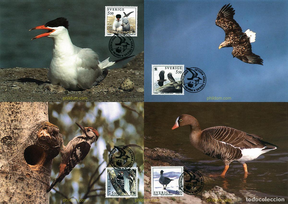 Sellos: 7404 MNH SUECIA 1994 AVES DE ESCANDINAVIA