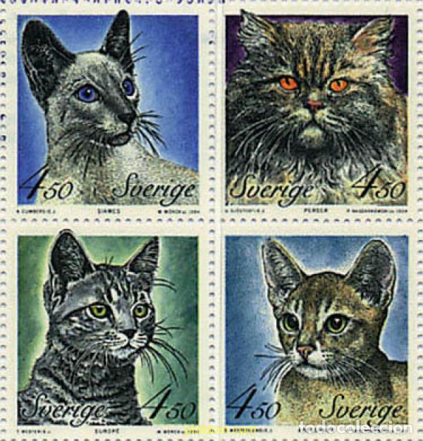 Sellos: 113350 MNH SUECIA 1994 GATOS DE RAZA