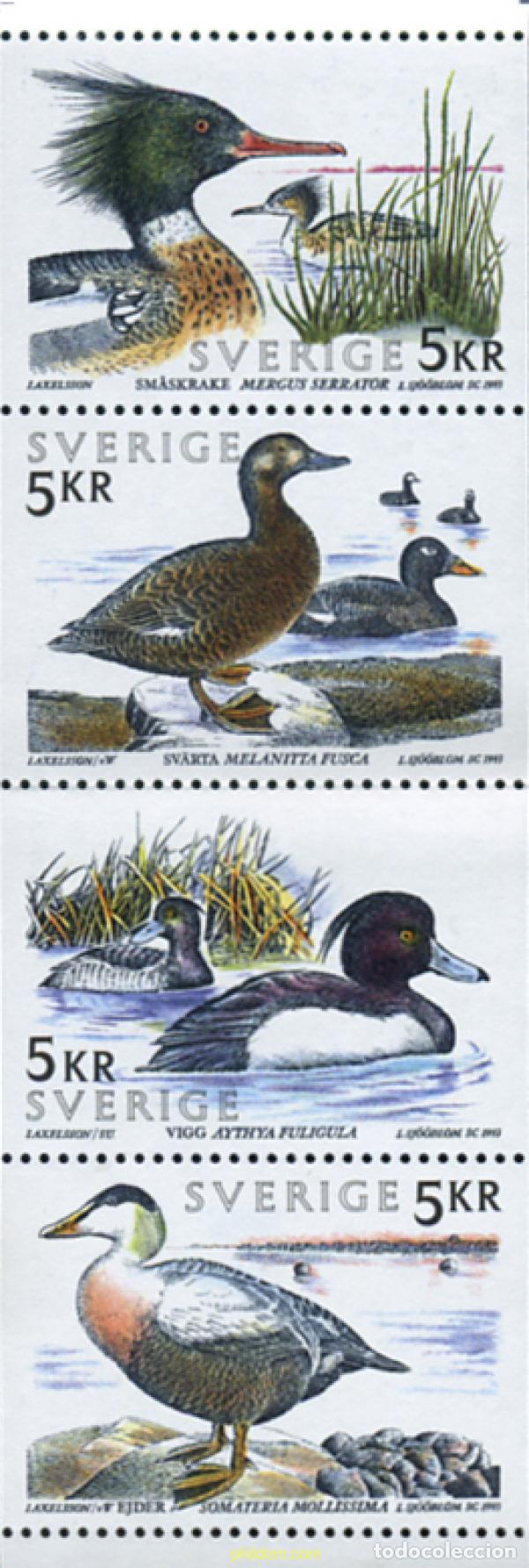 Stamps: 364014 MNH SUECIA 1993 AVES ACUATICAS
