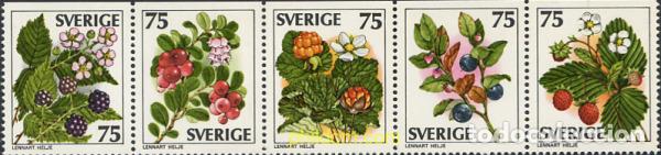 Sellos: 113147 MNH SUECIA 1977 BAYAS SILVESTRES