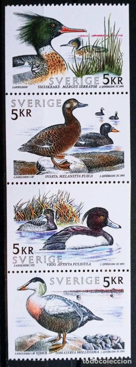 Sellos: SUECIA - IVERT 1771/74 NUEVO ** SERIE FAUNA AVES ACUATICAS - A&Ntilde;O 1993