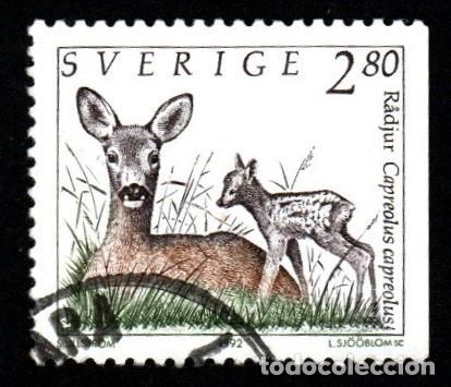 Sellos: Suecia. Animales Salvajes. Corzo Europeo. 1992 YT-1686. usado