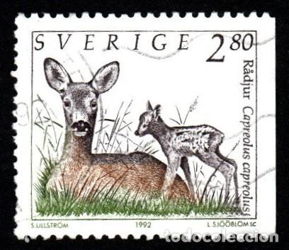 Sellos: Suecia. Animales Salvajes. Corzo Europeo. 1992 YT-1686. usado