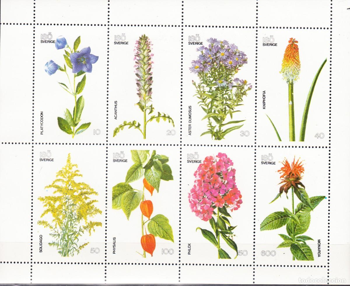 Sellos: ISO SUECIA 1977 SHEET MNH FLORA FLOWERS FLEURS FLORES BLUMEN FIORI