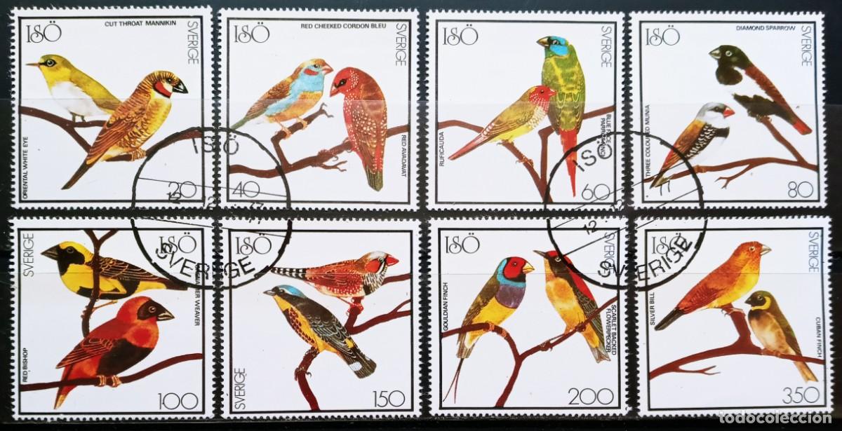 Sellos: SUECIA - IVERT ..... USADOS - SERIE DE VI&Ntilde;ETAS DE PAJAROS