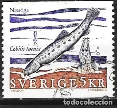 Sellos: Suecia 1991 - Mi 1651 - YT 1633 - Pez : Locha de r&iacute;o