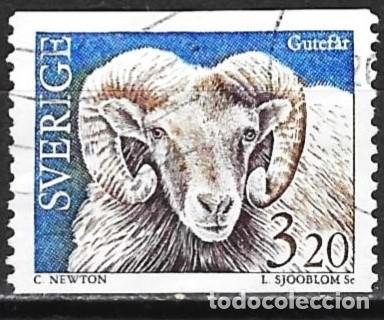 Sellos: Suecia 1994 - Mi 1806 - YT 1786 - Fauna : Oveja de Gotland