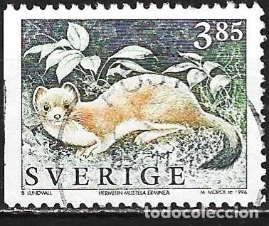 Sellos: Suecia 1996 - Mi 1927D - YT 1907A - Fauna : Armi&ntilde;o