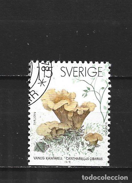 Sellos: SUECIA YVERT NUM. 1024 USADO - Foto 1