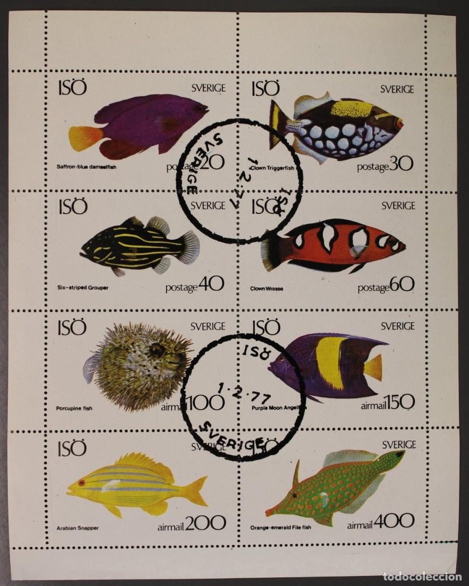 Sellos: ISO SUECIA 1977 SHEET USED MNH FAUNA MARINA FISHES PECES POISSONS PESCI FISCHEN PEIXES MARINE LIFE