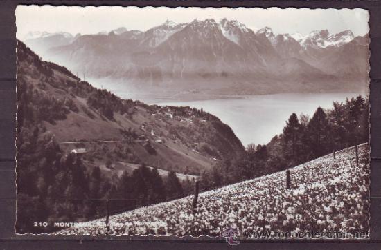 Stamps: ANTIGUA POSTAL SUIZA.CIRCULADA A SUECIA.PAISAJES.MONTA&Ntilde;AS.VER FOTO ADICIONAL.