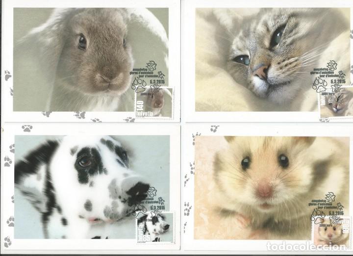 Sellos: Switzerland 2015 - Pets maxicard set - Foto 1