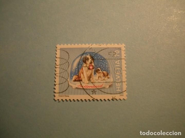 Sellos: SUIZA - PERROS - SAN BERNARDO. - Foto 1
