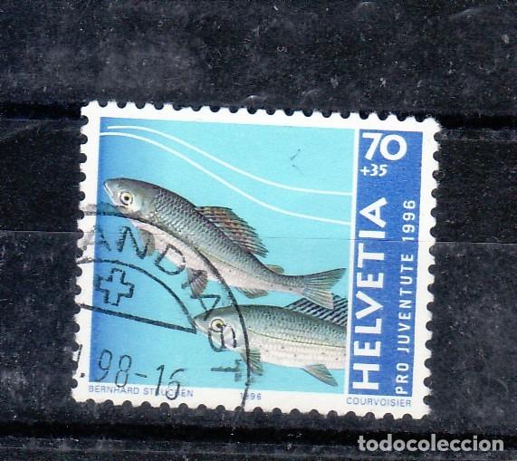 Sellos: SUIZA - SELLO MATASELLADO - Foto 1