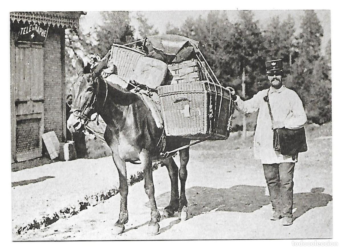 Sellos: TEMATICA BURRO LOTE SELLOS - Foto 2