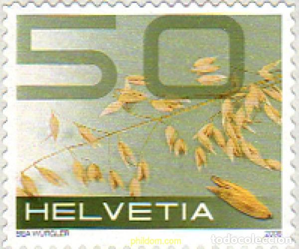 Sellos: 349373 MNH SUIZA 2008 - Foto 1