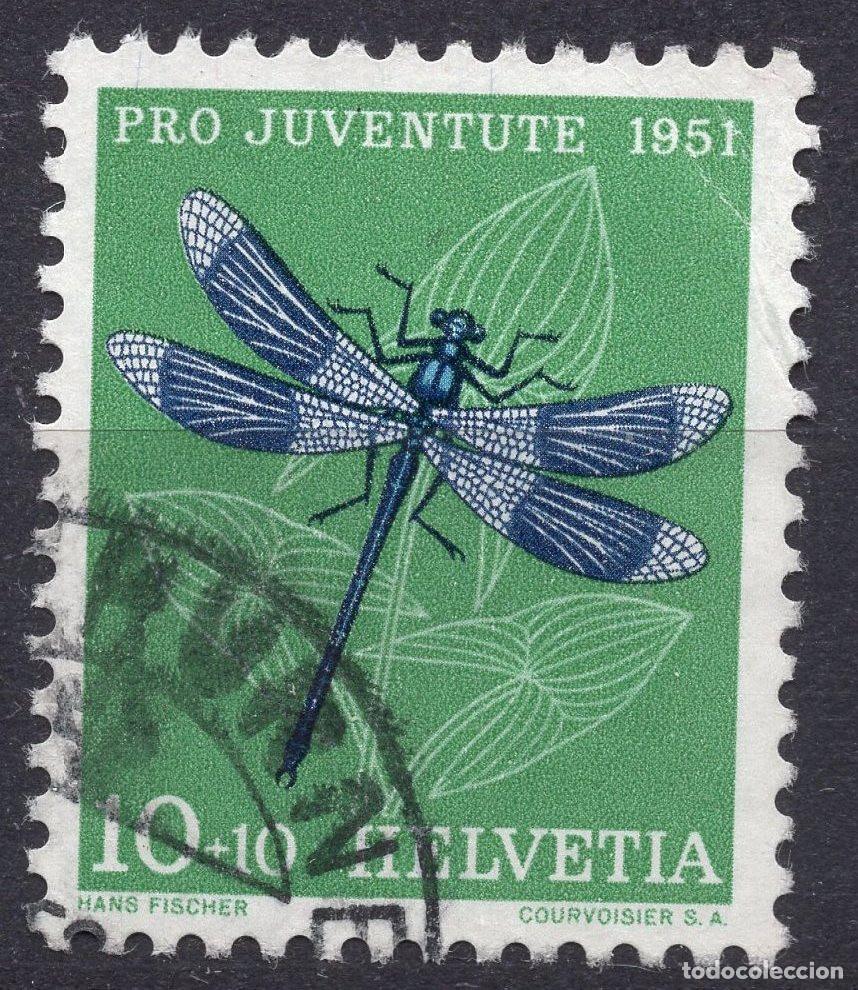Sellos: SUIZA 1951 STAMP MICHEL CH 562