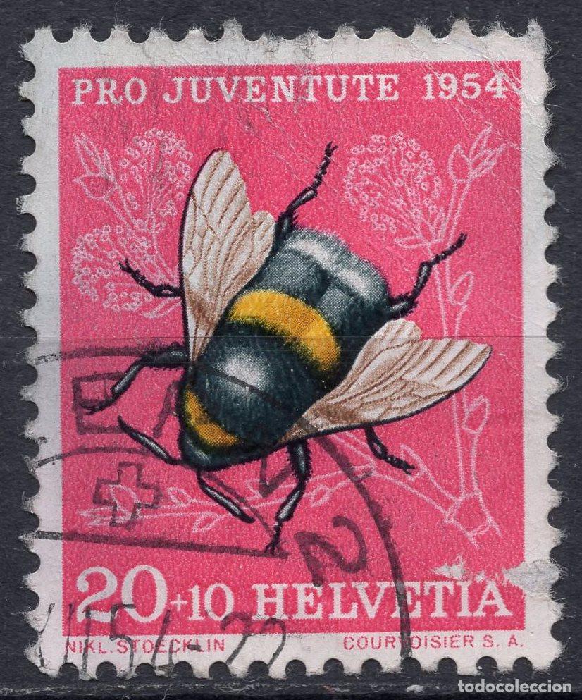 Sellos: SUIZA 1954 STAMP MICHEL CH 604