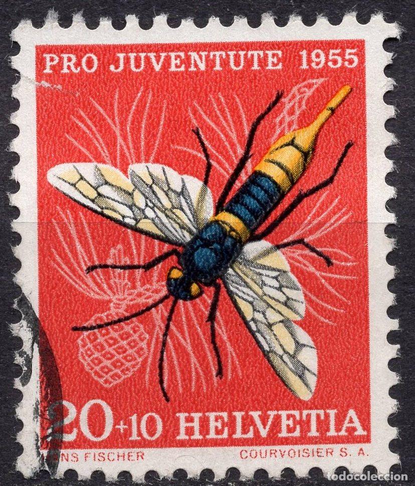 Sellos: SUIZA 1955 STAMP MICHEL CH 620